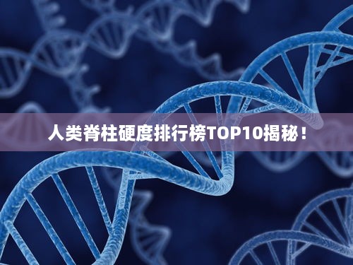 人类脊柱硬度排行榜TOP10揭秘！