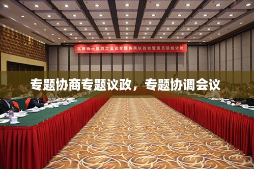 专题协商专题议政，专题协调会议 