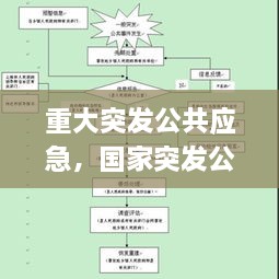 重大突发公共应急，国家突发公共事件总体应急预案特别重大 