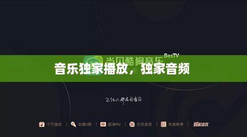 音乐独家播放，独家音频 