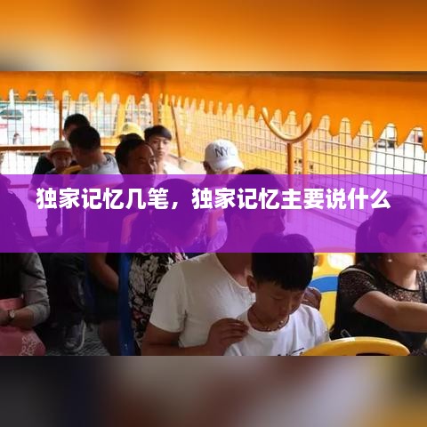 独家记忆几笔，独家记忆主要说什么 