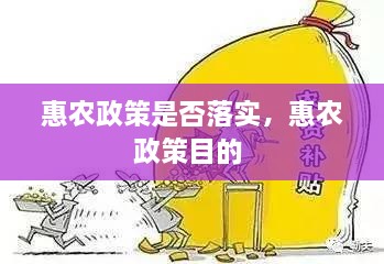 惠农政策是否落实，惠农政策目的 