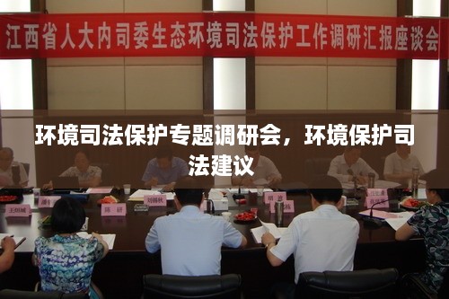 环境司法保护专题调研会，环境保护司法建议 