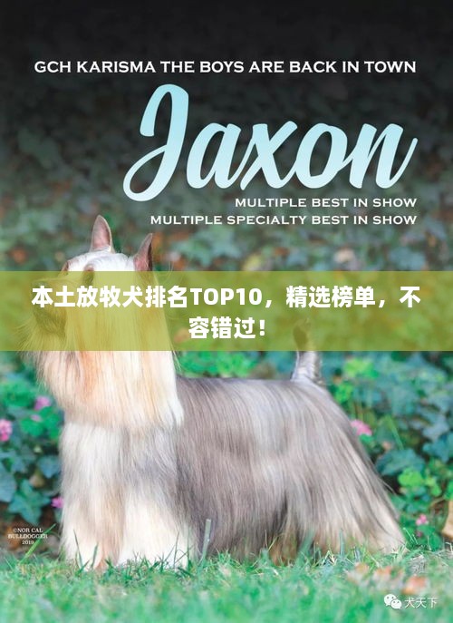 行业标准 第10页