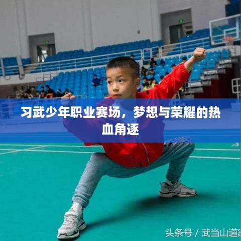 习武少年职业赛场，梦想与荣耀的热血角逐
