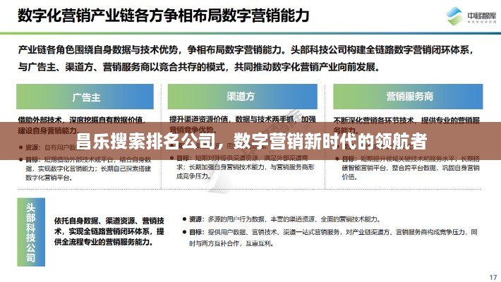 昌乐搜索排名公司，数字营销新时代的领航者