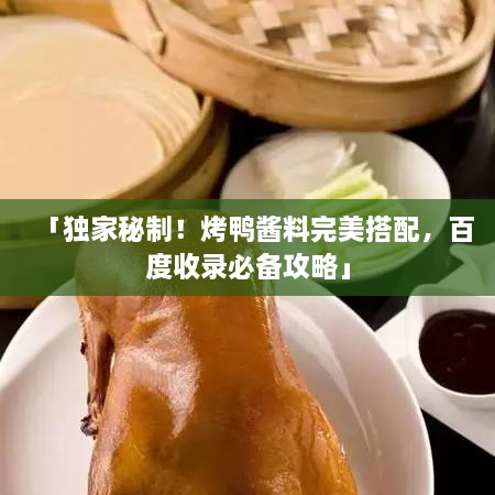 「独家秘制！烤鸭酱料完美搭配，百度收录必备攻略」