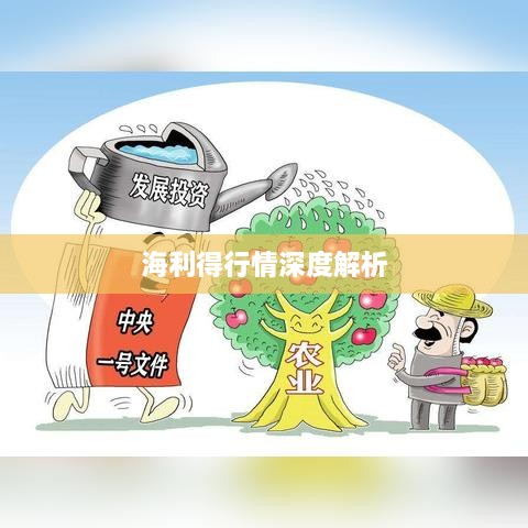 海利得行情深度解析