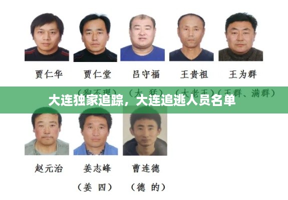 大连独家追踪，大连追逃人员名单 