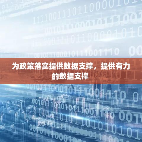 为政策落实提供数据支撑，提供有力的数据支撑 
