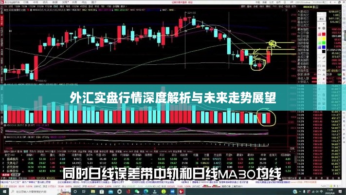 外汇实盘行情深度解析与未来走势展望