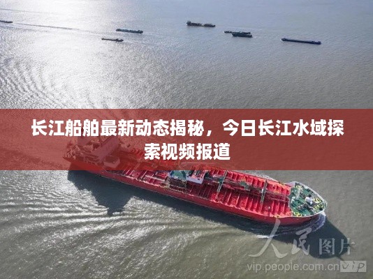 长江船舶最新动态揭秘，今日长江水域探索视频报道