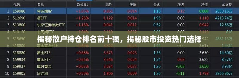 揭秘散户持仓排名前十强，揭秘股市投资热门选择
