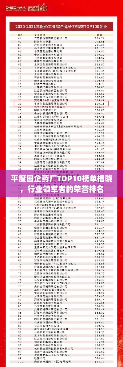 平度国企药厂TOP10榜单揭晓，行业领军者的荣誉排名