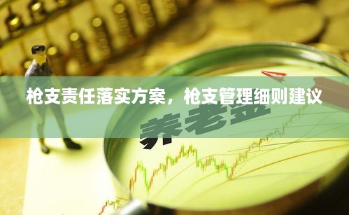 枪支责任落实方案，枪支管理细则建议 