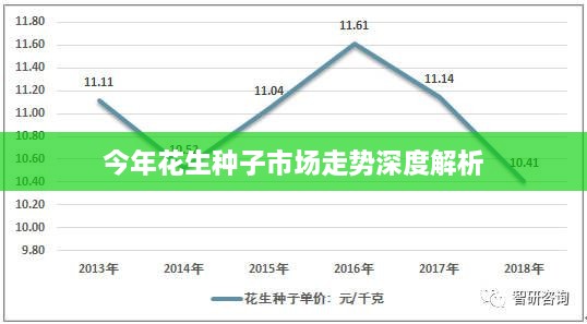 今年花生种子市场走势深度解析
