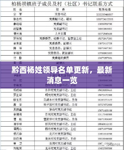 黔西杨姓领导名单更新，最新消息一览
