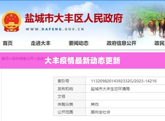 大丰疫情最新动态更新