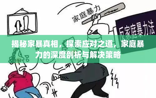 揭秘家暴真相，探索应对之道，家庭暴力的深度剖析与解决策略