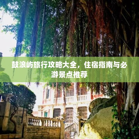 鼓浪屿旅行攻略大全，住宿指南与必游景点推荐
