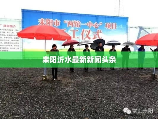 耒阳沂水最新新闻头条