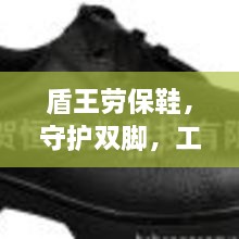 盾王劳保鞋，守护双脚，工装风采尽显