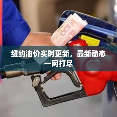纽约油价实时更新，最新动态一网打尽