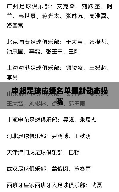 中超足球应援名单最新动态揭晓