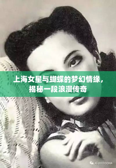 上海女星与蝴蝶的梦幻情缘，揭秘一段浪漫传奇