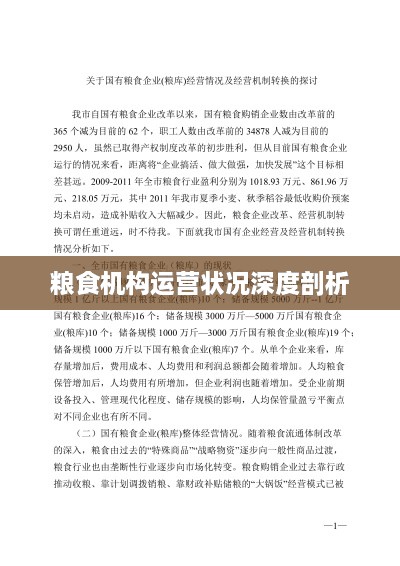 粮食机构运营状况深度剖析