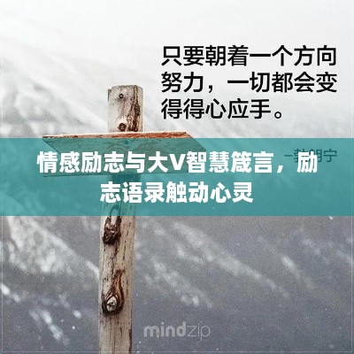 情感励志与大V智慧箴言，励志语录触动心灵