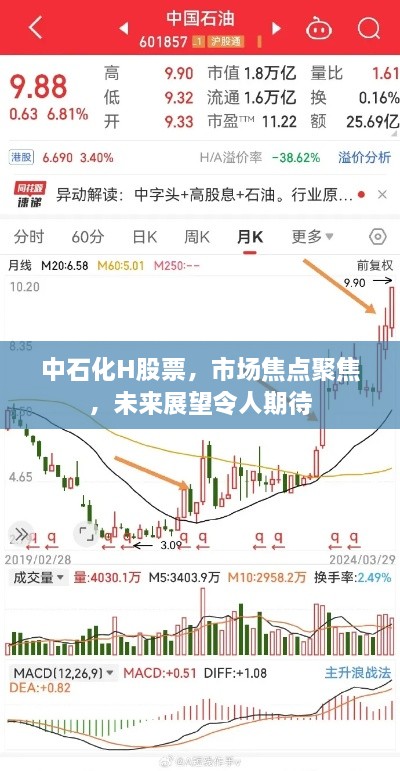 中石化H股票，市场焦点聚焦，未来展望令人期待