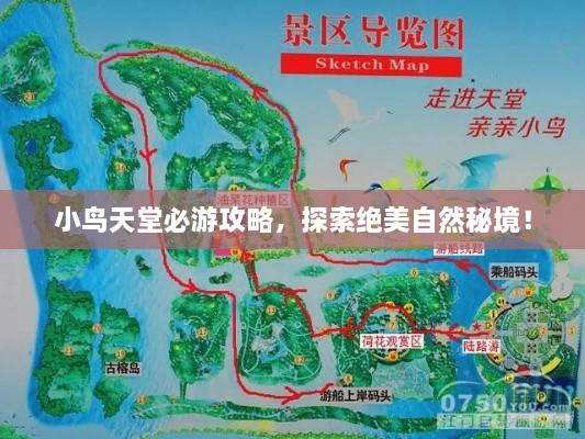 小鸟天堂必游攻略，探索绝美自然秘境！