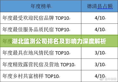 湖北监测公司排名及影响力深度解析