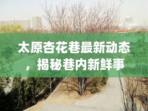 太原杏花巷最新动态，揭秘巷内新鲜事