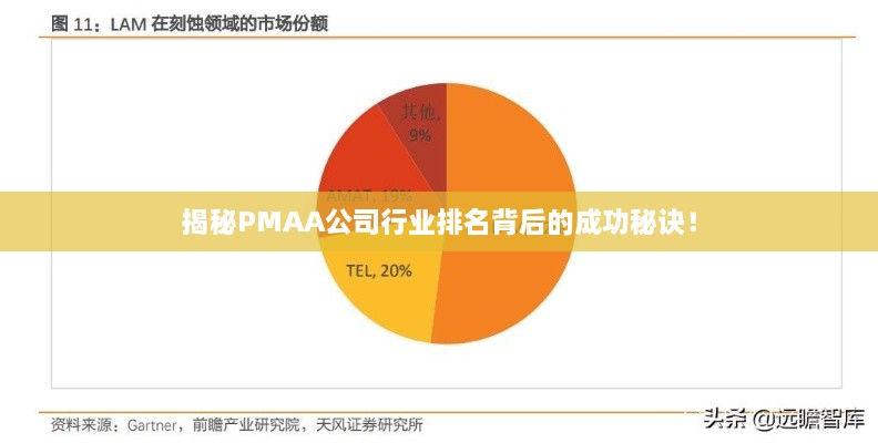 揭秘PMAA公司行业排名背后的成功秘诀！