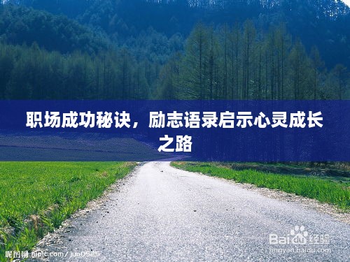 职场成功秘诀，励志语录启示心灵成长之路