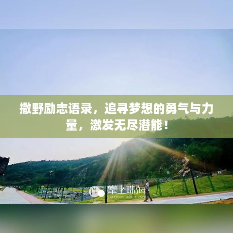 撒野励志语录，追寻梦想的勇气与力量，激发无尽潜能！